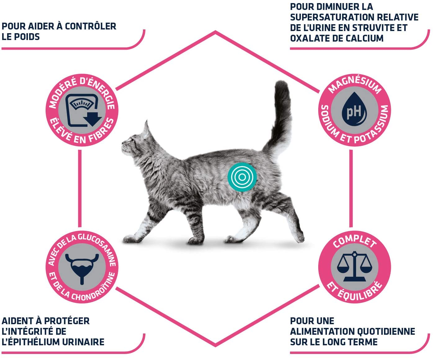Advance Veterinary Diets Urinary Sterilized Low Calorie 1,25kg - Gatto Advance Veterinary Diets Urinary Sterilized Low Calorie 1,25kg - Gatto
